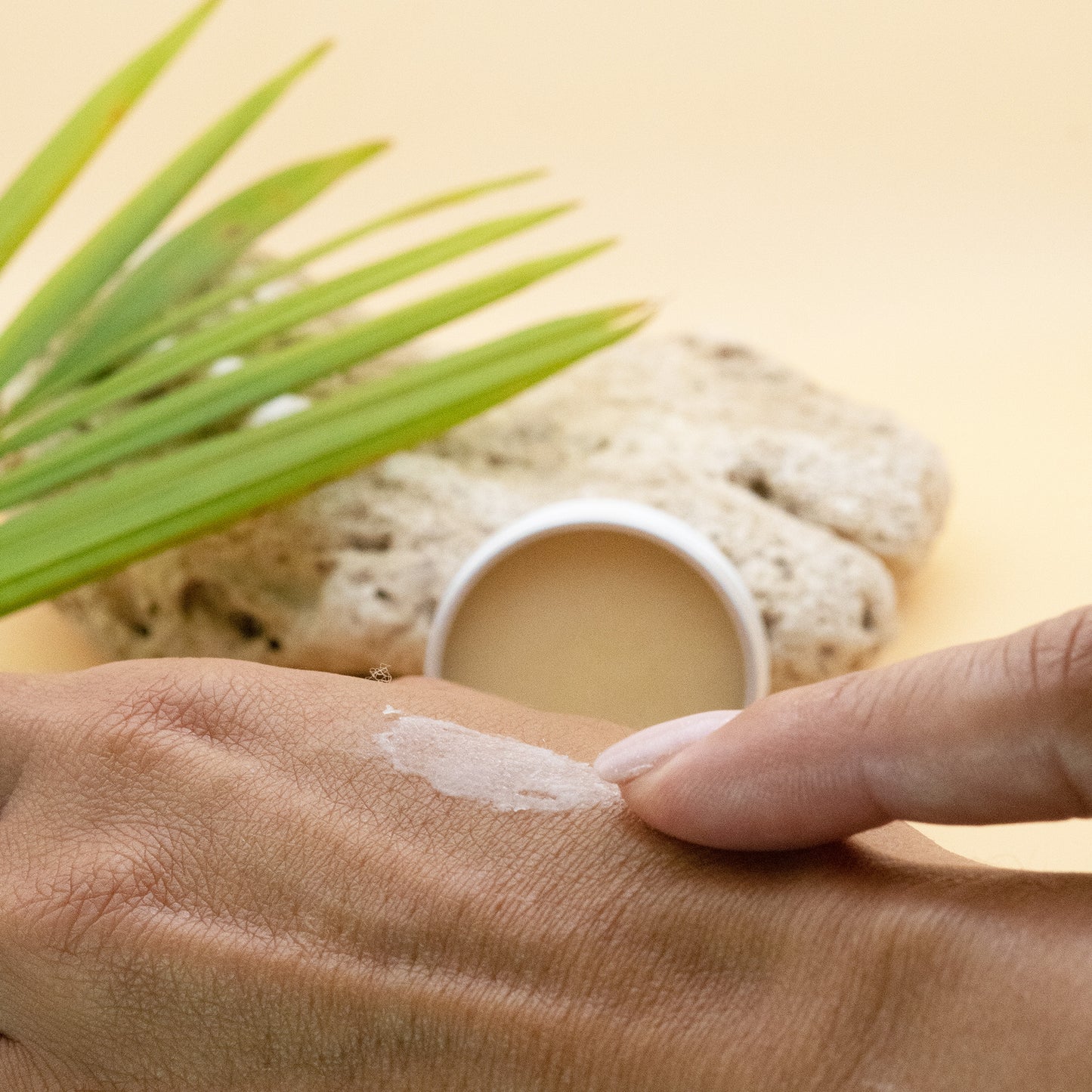 Organic Grass-fed Tallow Lip Balm